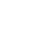 noun_543045_FFFFFF