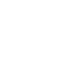 noun_593119_FFFFFF